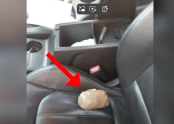 EMRI/ Vlorë, me kokainë dhe kanabis në makinë, arrestohet 41-vjeçari (VIDEO)