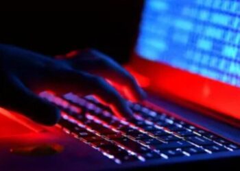 “XUEX”/ Skemat piramidale online, vihet në pranga organizatori kryesor i zonës së Divjakës (EMRI)