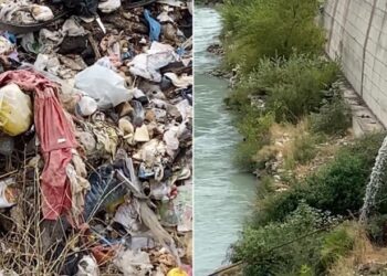 Vëzhgimi/ Vjosa e ndotur nga plehrat dhe ujërat e zeza! Ambientalistët e huaj: E papranueshme!