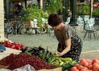 “Shteti të mos merret me çadrat”/ Qytetarët të shqetësuar: Të kontrollojë ushqimet që hamë