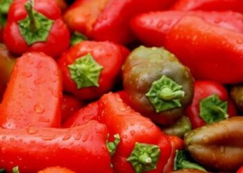 Edhe specat e kuq të eksportuara nga Shqipëria me pesticide, Sllovenia i tërheq nga tregu