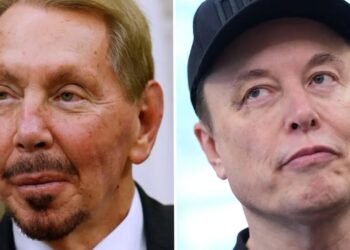 “Rrëzohet” nga froni Elon Musk, ja kush është miliarderi që merr titullin e njeriut më të pasur në botë