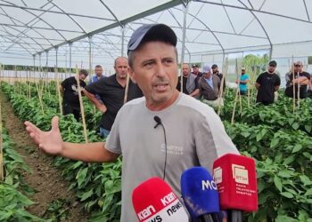 Bllokohet eksporti, specat ngelen pa vjelur në Divjakë