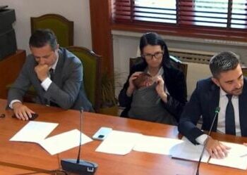 (VIDEO) Me foshnjën e saj në krahë, deputetja e PS merr pjesë në mbledhjen e Komisionit Parlamentar