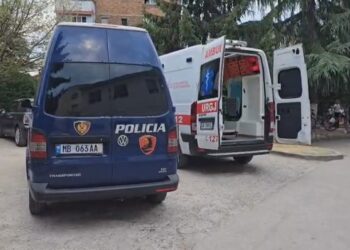 Tiranë, telefonatë në polici për të shtëna me armë zjarri te diga e Liqenit Artificial