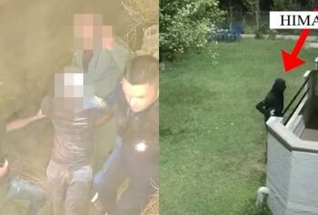 Arrestohen tre grabitësit nga Saranda që vidhnin vila në bregdetin e Jugut, policia iu gjen edhe armë 