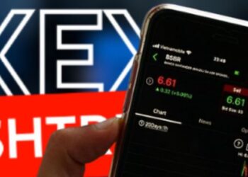 XUEX, mijëra euro, dollarë, lekë e../ Ja çfarë u zbulua në operacionin kundër skemave piramidale online? (Detajet)