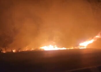 Zjarrvënia, kodi i ri penal parashikon nene shtesë! Manja: 4 deri në 10 vite burg kush ndez zjarr në..