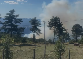 VIDEO/ Çfarë po ndodh në Gramsh? Banorët bëjnë denoncimin: Vatër zjarri aktive që në mëngjes, askush s’ka ardhur ta shuajë