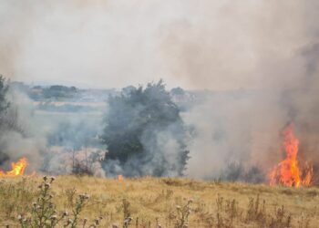 Sarandë, zjarr në Qafën e Butrintit/ Flakët e favorizuara nga era rrezikojnë Parkun Kombëtar
