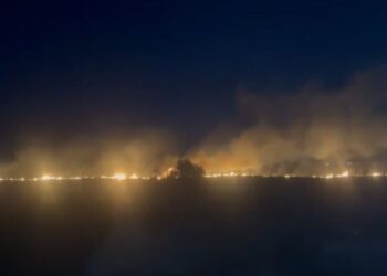 Vatër zjarri në fshatin Poro të Vlorës, rrezikon përhapjen/ Zjarrfikësit në vendngjarje (Video)