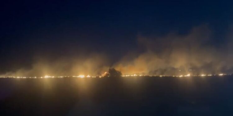 Vatër zjarri në fshatin Poro të Vlorës, rrezikon përhapjen/ Zjarrfikësit në vendngjarje (Video)