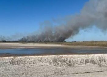 Zjarr në Seman, rrezikohet habitati i specieve të egra/ Ndërhyrja e pamundur..