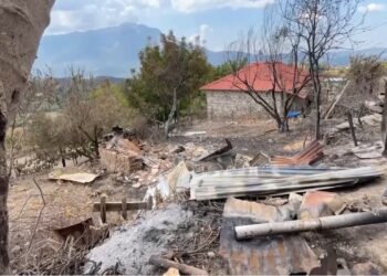 Bilanci i fshatit në Gramsh që “e zhduku” zjarri: 68 banesa dhe mijëra hektarë të djegura, 231 bagëti të ngordhura