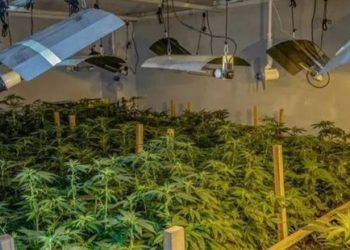 Zbulohet ‘shtëpi bari’ në Bilisht, shoqërohen disa persona!