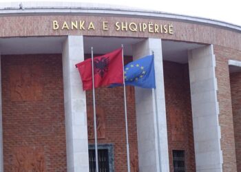 Rezerva valutore për herë të parë në histori mbi 7 mld euro! BSH: Me atë aktuale garantohen deri 7.3 muaj importe