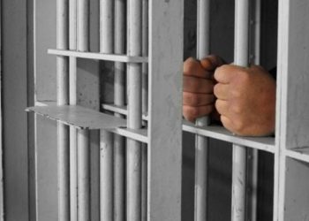 12 vite burg për 38-vjeçarin, u kap për vjedhje bagëtish, por u zbulua se kishte lidhje me të mitur