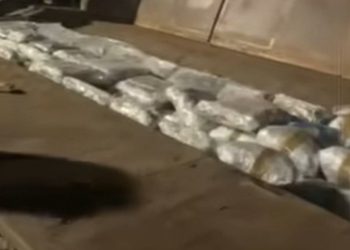 Rreth 250 kg kanabis, dogana jep detaje: Operacioni u realizua me përkrahjen e AKI-së