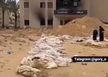 VIDEO / Gazetari zviceran dëshmon ferrin në Gaza, dhjetëra trupa të vrarë nga Izraeli dergjen rrugëve