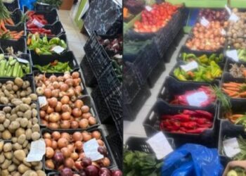 Çfarë hamë sot në Shqipëri kur nuk prodhojmë dot as hudhra 