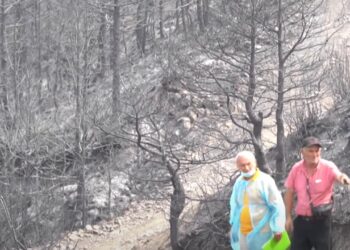 9.5 mld lekë dëme nga zjarret/ Mbyllet vlerësimi në Delvinë, banorët do dëmshpërblehen