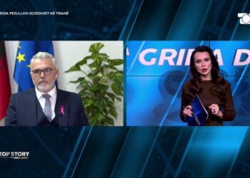 Kushtetuesja pezulloi zgjedhjet në Tiranë, ministri Toni Gogu: PS-ja e përgatitur, vendimi nuk ndryshon asgjë