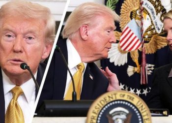 “Ke theks të bukur, por s’të kuptoj çfarë thua”, Trump nuk kupton pyetjen e gazetares franceze