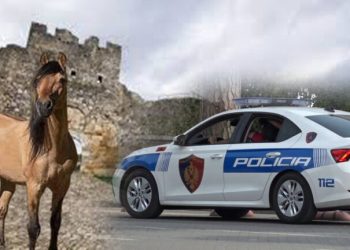 Vrasja në Kalanë e Beratit/ 63-vjeçari me precedentë penalë goditi për vdekje 42-vjeçarin pas sherrit për kalin (EMRAT)