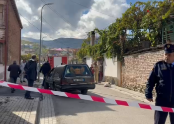 Tragjike në Maliq, përfshihet nga flakët një banesë/ Humb jetën nga asfiksia nëna, fëmijët dërgohen në spital (Detajet)