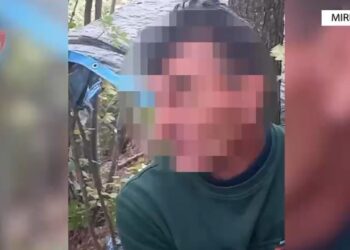 Kapet në flagrancë duke kultivuar kanabis, arrestohet 51-vjeçari në Mirditë