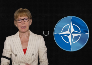 NATO, sa kushton dhe kush paguan. Çfarë fshihet pas shpenzimeve ushtarake të SHBA-ve?