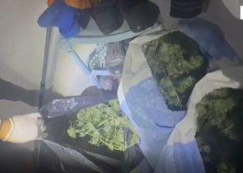 Kultivuan kanabis në tokën e tyre dhe e fshehën në banesë, arrestohet çifti në Devoll