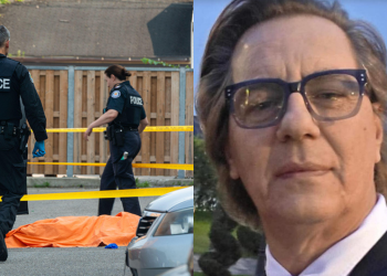 Aksident i rëndë në Kanada, humb jetën mjeku dhe pedagogu shqiptar