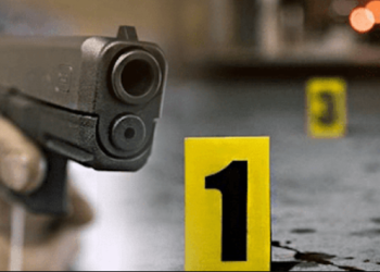 Të shtëna me armë te mbikalimi i Rinasit, një person i plagosur, detajet e para