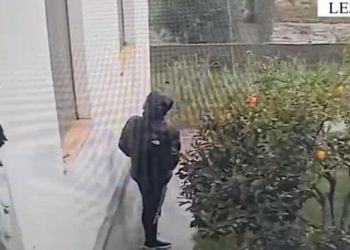 VIDEO/ U kap nga kamerat e sigurisë teksa u vidhte bizhuteritë e floririt fqinjëve, arrestohet i riu në Lezhë