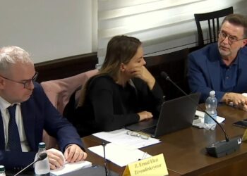 Tkurrja e Valutave/ Braçe-BSH: Parashikoni kursin! Sejko: E pamundur, valutat forcohen nëse ekonomia bie! 800 mln € të blera këtë vit për..