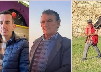 ‘E Marta e zezë’/ Picieri në Tiranë, turisti në Berat dhe babai në Durrës u vranë me thikë për një fjalë goje! Dëshmitë e autorëve…