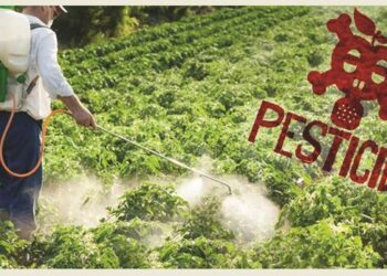 Pesticidet te frutat dhe perimet, eksperti i sigurisë ushqimore: Ja kush rrezikon më shumë