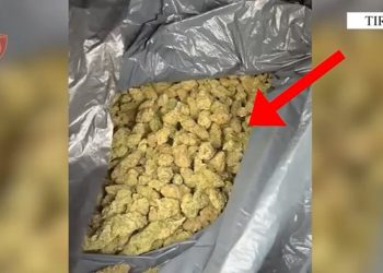 U kapën me 10 kg hashash për shitje, në pranga 2 persona në Fushë-Krujë! Sekuestrohet dhe armë zjarri pa leje