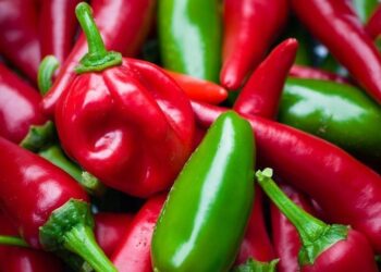 Sërish perime me pesticide nga Shqipëria, ngarkesa me speca bllokohet në Kroaci