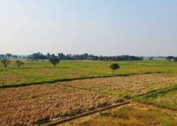 Qeveria rikthen kompensimin e TVSH-së në bujqësi nga 2026-ta, do të jetë 10%