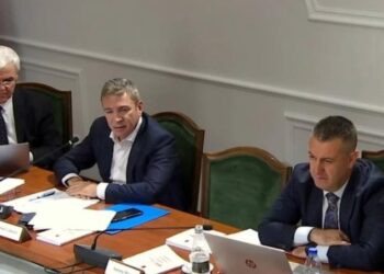 Reforma Territoriale dhe Zgjedhore, zbulohen projektvendimet e socialistëve për dy komisionet e posaçme