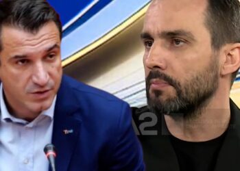 Shkarkimi i Veliajt, Lapaj: Duhej të pritej vendimi i Gjykatës Kushtetuese