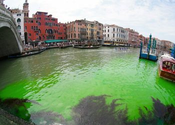 Aktivistja për mjedisin që ndoti kanalin e Venecias, nën hetim Greta Thunberg