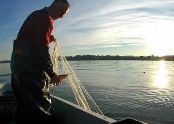 Qeveria miraton vendimin/ Rregullat e reja për peshkimin, ja skema e re e certifikimit