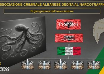 Si funksiononte baza e kokainës në Itali, roli i Visit të Pojës në trafikun e drogës