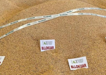 Pas Shkodrës, misër me aflatoksinë nga Serbia bllokohet edhe në Elbasan