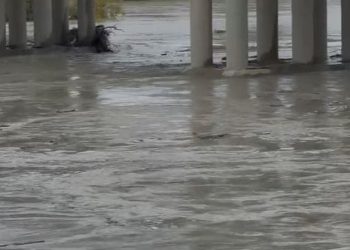 Vjosa rrezikon të dalë nga shtrati në Novoselë, banorët në gatishmëri për t’u evakuuar