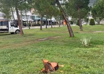 Pritet pishat natën në mes të Lungomares, Policia verifikon kamerat e sigurisë