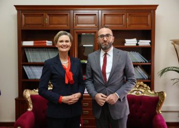 Bardhi takohet me VanHorn: Shqipëria drejtohet nga një qeveri partnere e krimit
